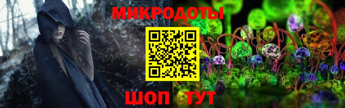 Псилоцибиновые грибы прущие грибы Кингисепп